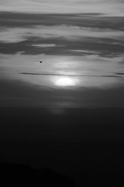 Sussex Sunset Black and White