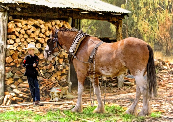 Waiting By The Woodshed