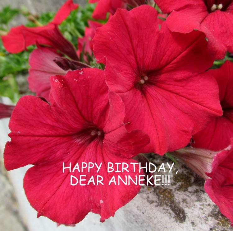 HAPPY BIRTHDAY, DEAR ANNEKE !!!