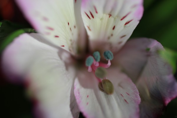 20120302 5