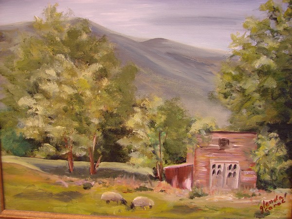Backyard Sheep