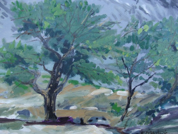 Edge of the river