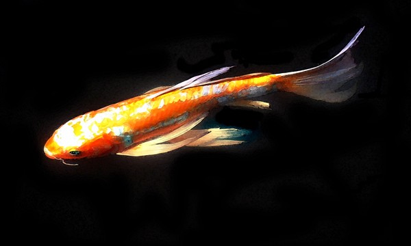 Koi No. 2