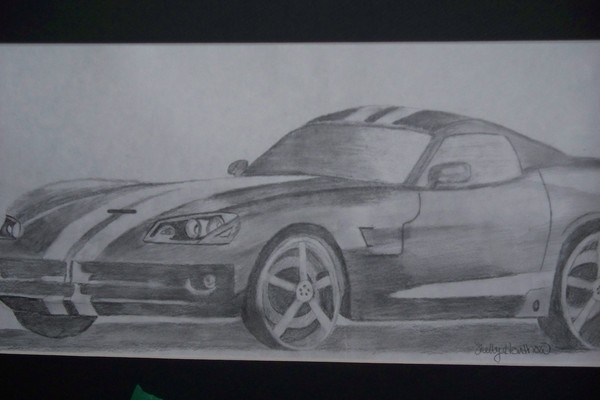 viper
