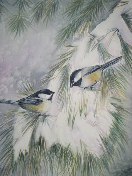 Chickadee chat
