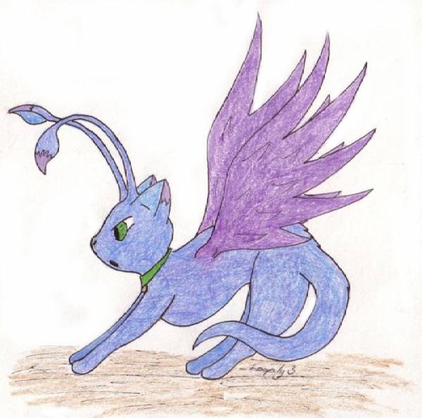 Winged Aisha