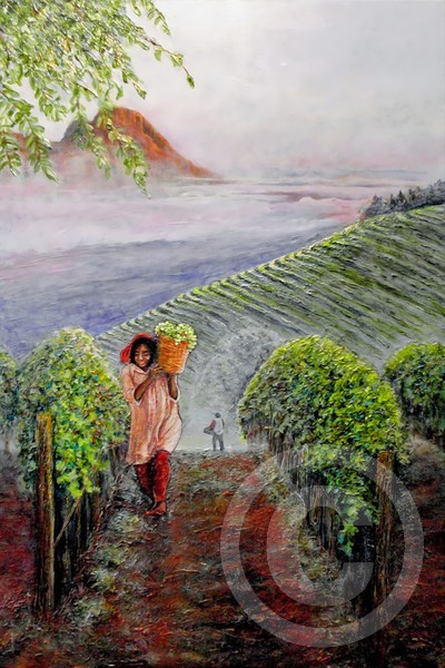 Harvest at Dawn