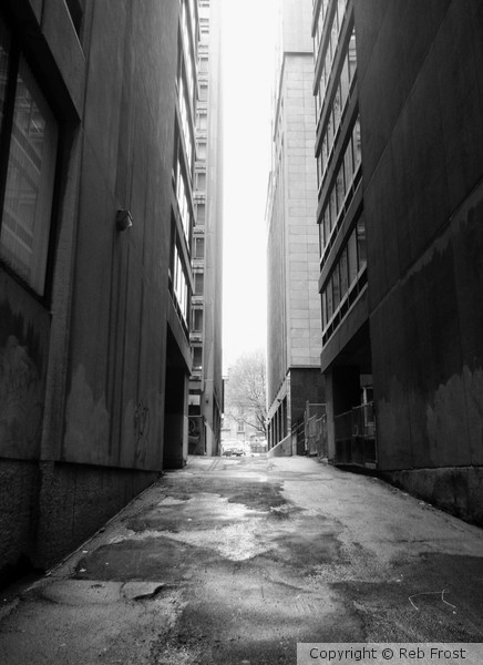 Montreal Scene