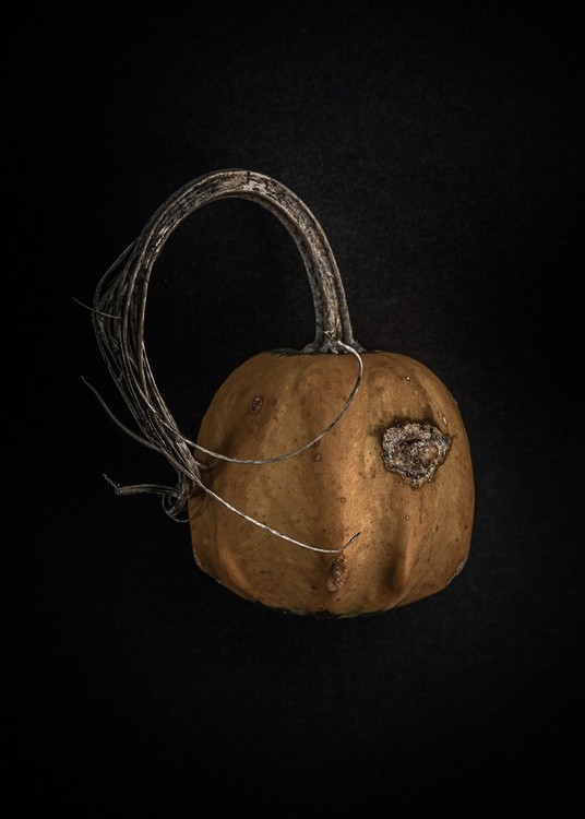 Gourds No 13 Color Version