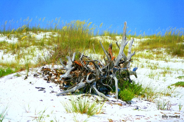Pensacola Beach