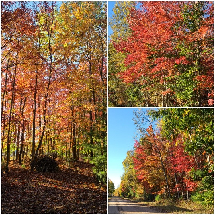 JUST A LITTLE MORE COLOR TO ENJOY