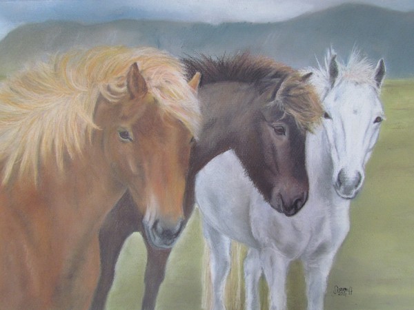 Merlod Mynydd (Mountain Ponies)