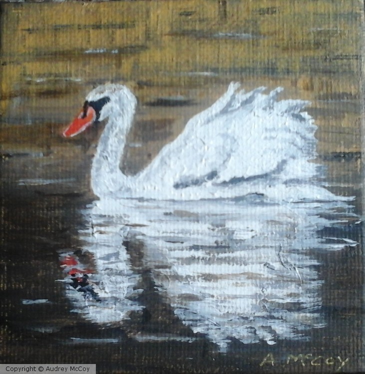 Swan