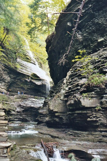 Watkins Glen State Park, NY