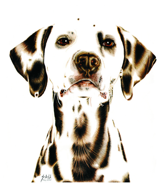 Fire Fighter's Best Friend