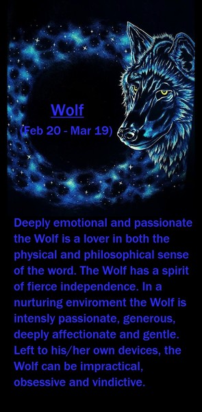 Wolf Zodiac Signs Spirit Animals What Is My Spirit Animal By Birthday