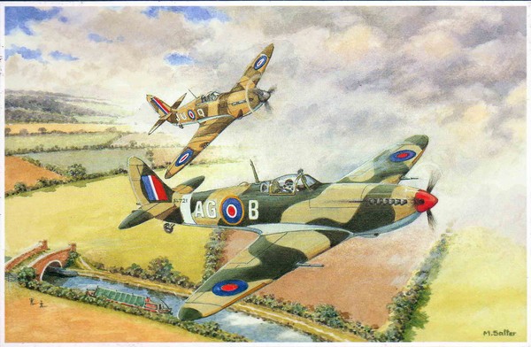 spitfires
