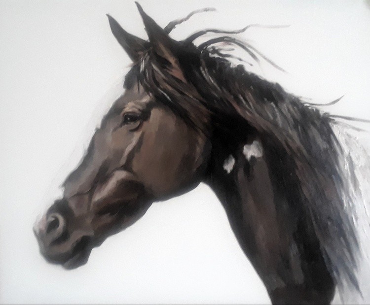 wild horse 2