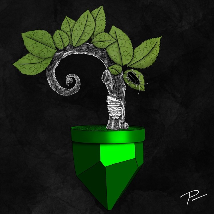 spiral bonsai