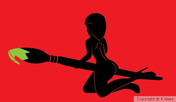 SHE Design