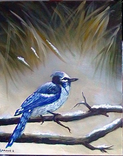 bluejay