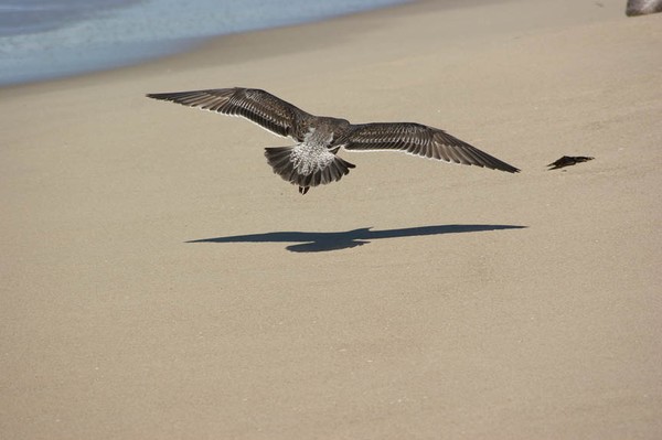 Wow, I can see my shadow!