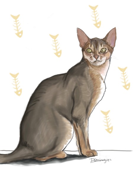 Pastel cat