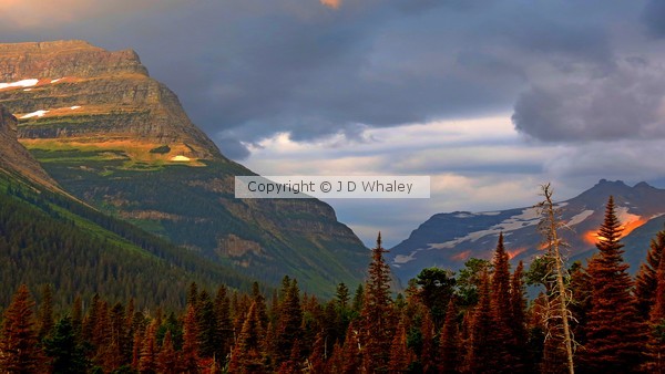 9280 Early morning in Glacier NP