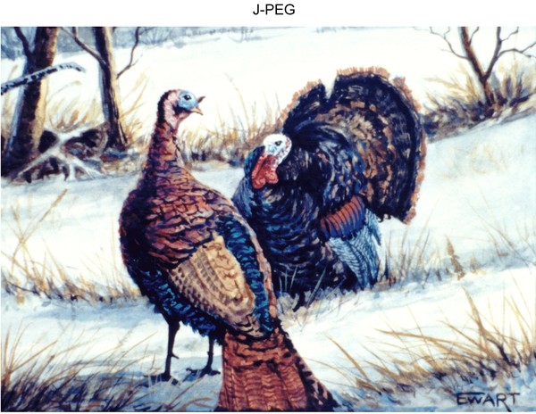 Turkey Call 