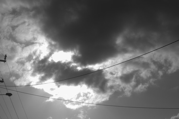 DSC 0164.NEF