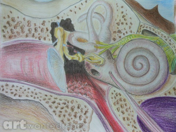 Inner Beauty