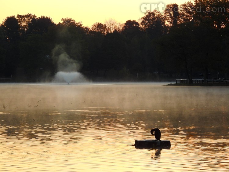 Tranquility