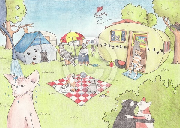 camping