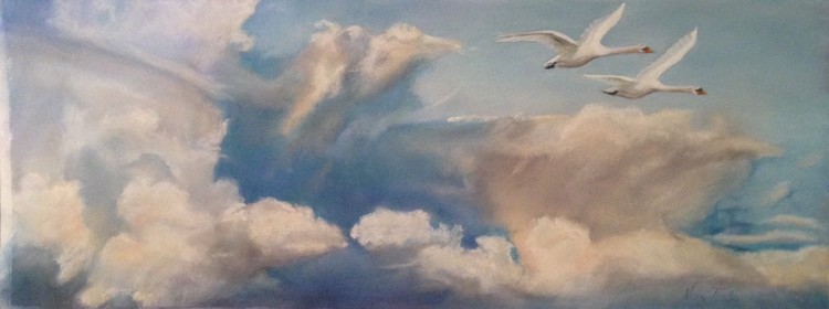 Soaring