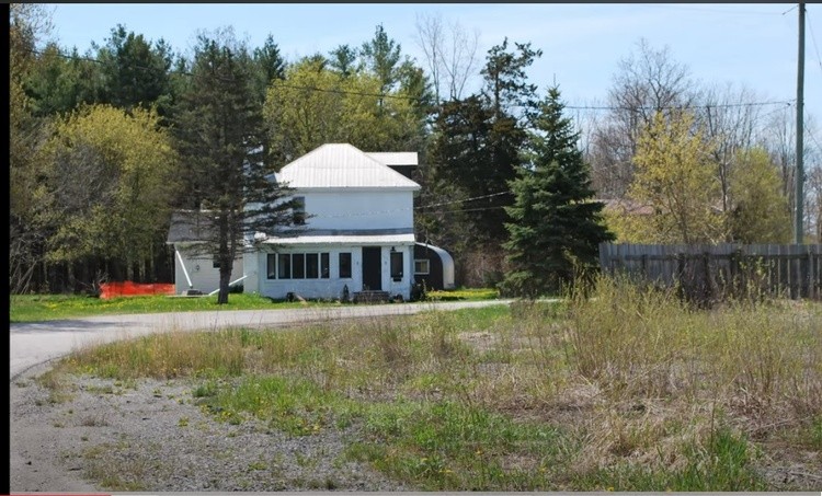 Dunnville Forest 7