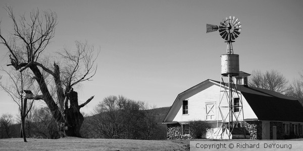 WALISH FARM