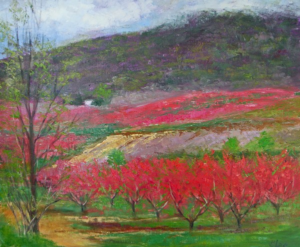 Peach trees on a foggy day
