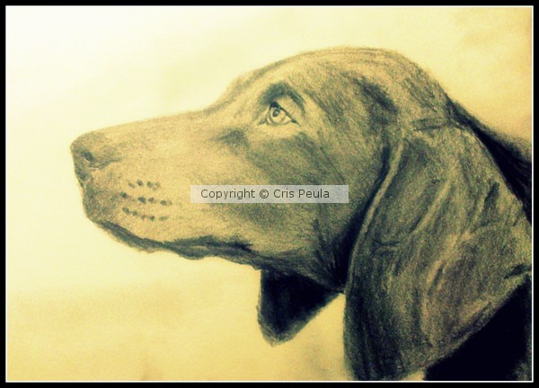 pointer pencils