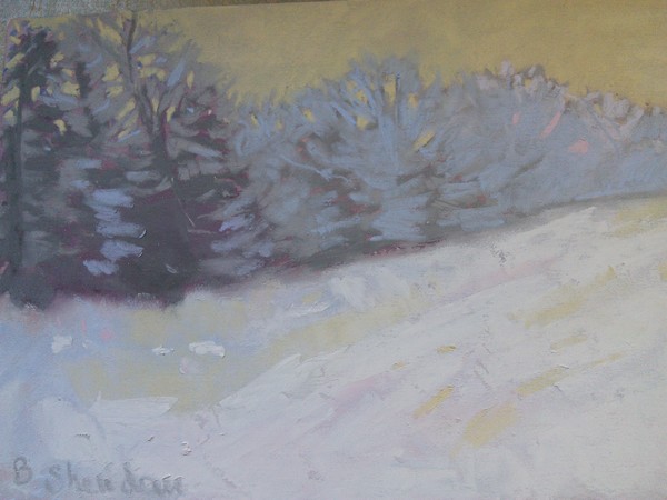 Frosty evening