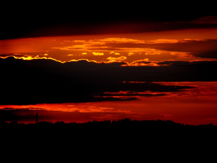 DSCF0223