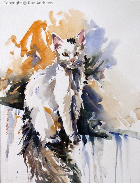 Here Kitty Kitty