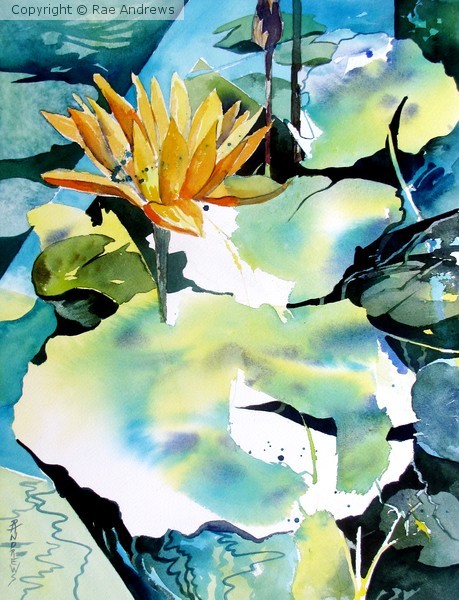 Reflection Magic