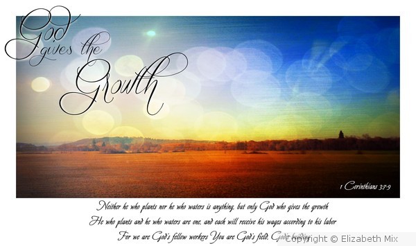 god gives the growth