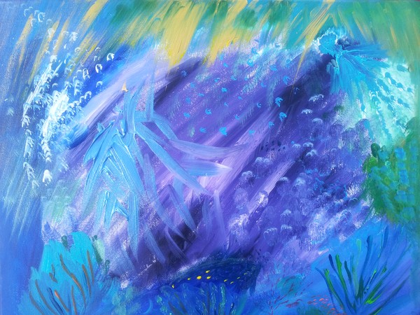 Journey of a Jellyfish