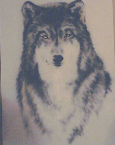 wolf
