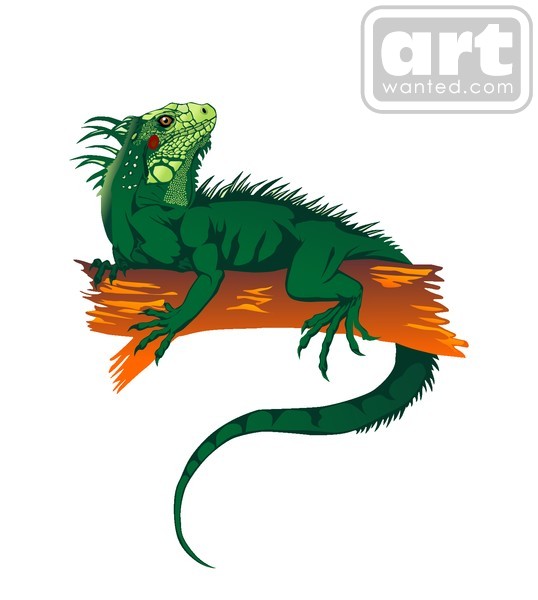 iguana