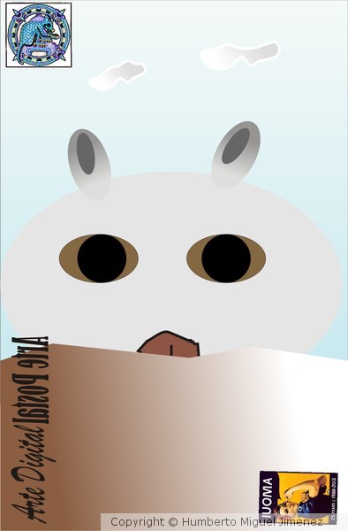 Totoro mi gato