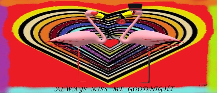 ALWAYS KISS ME GOODNIGHT