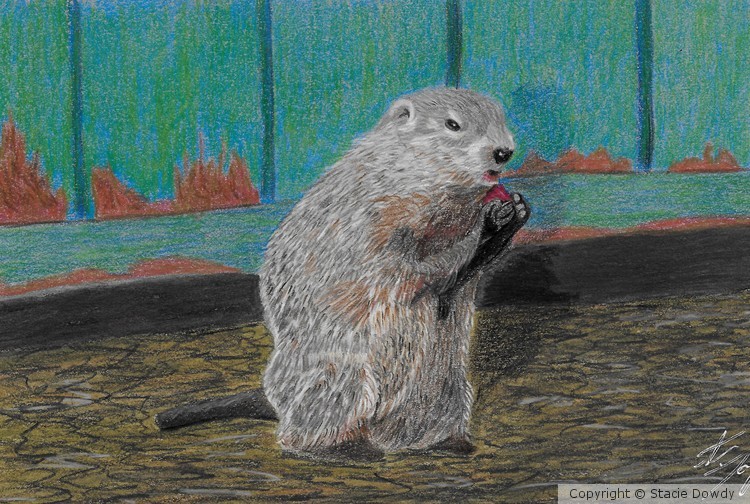 Summer Snack