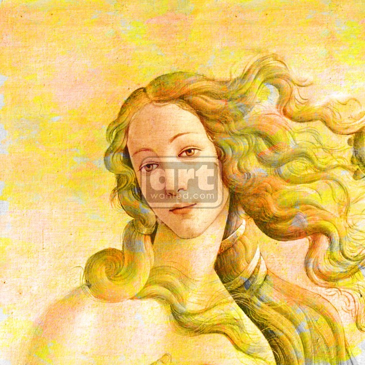 Classic Venus